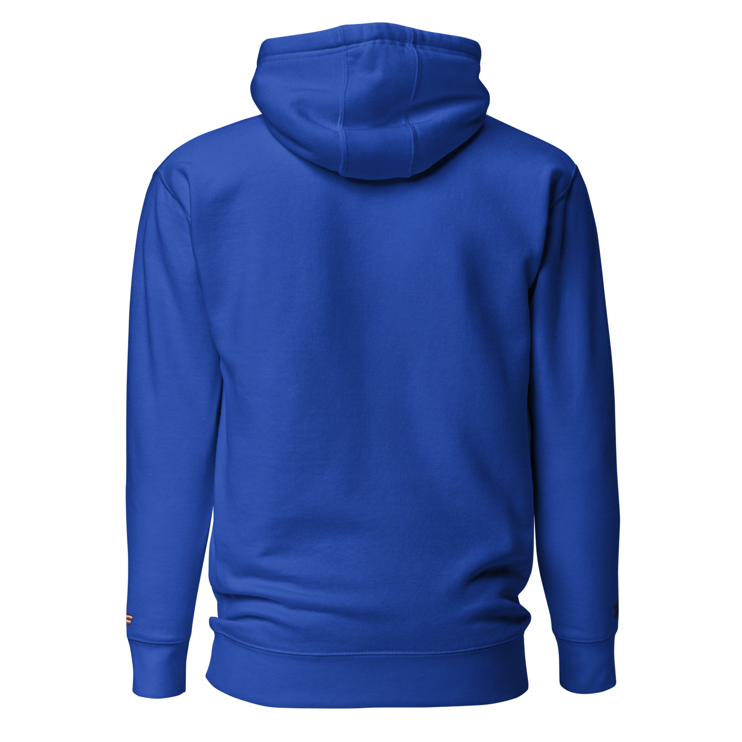 Premium Embroidered Blue Hoodie PR