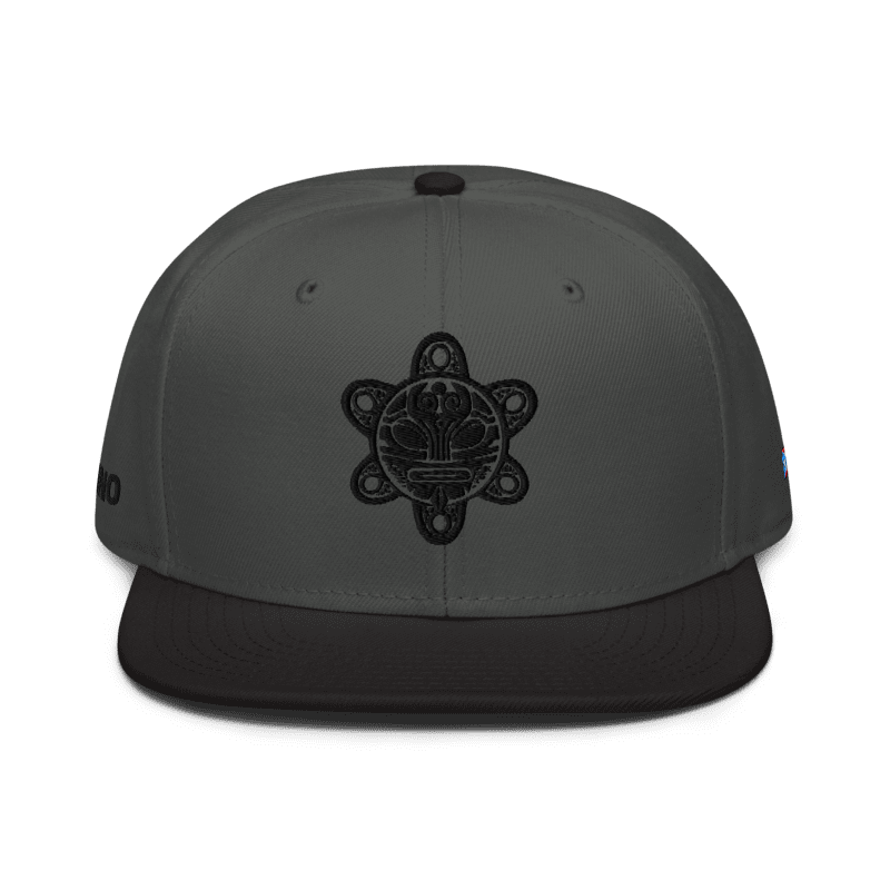 Charcoal Gray/Black Snapback PR