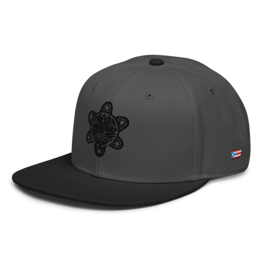 Charcoal Gray/Black Snapback PR