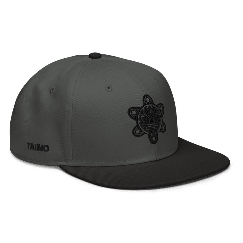 Charcoal Gray/Black Snapback PR