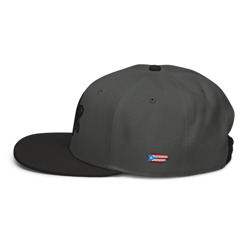 Charcoal Gray/Black Snapback PR